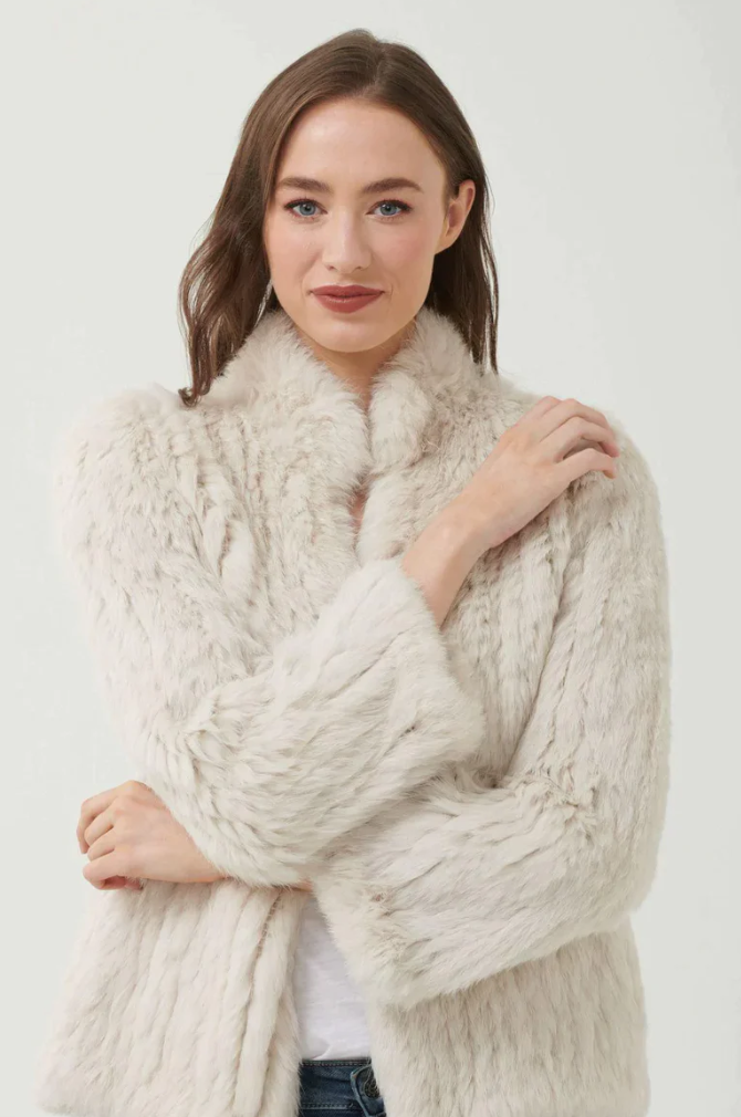 365 Days – Harrip & Co.