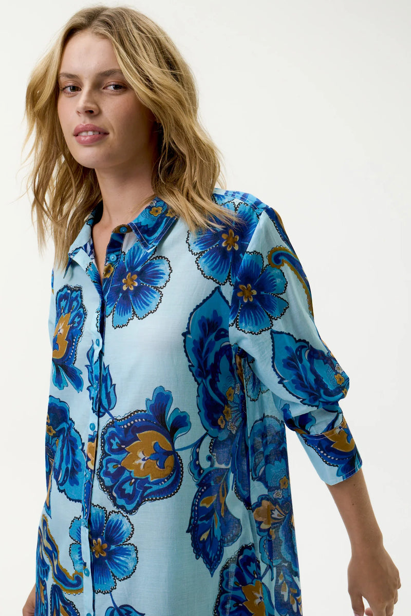 oneseason | Daisy | Lemnos | Blue Flower