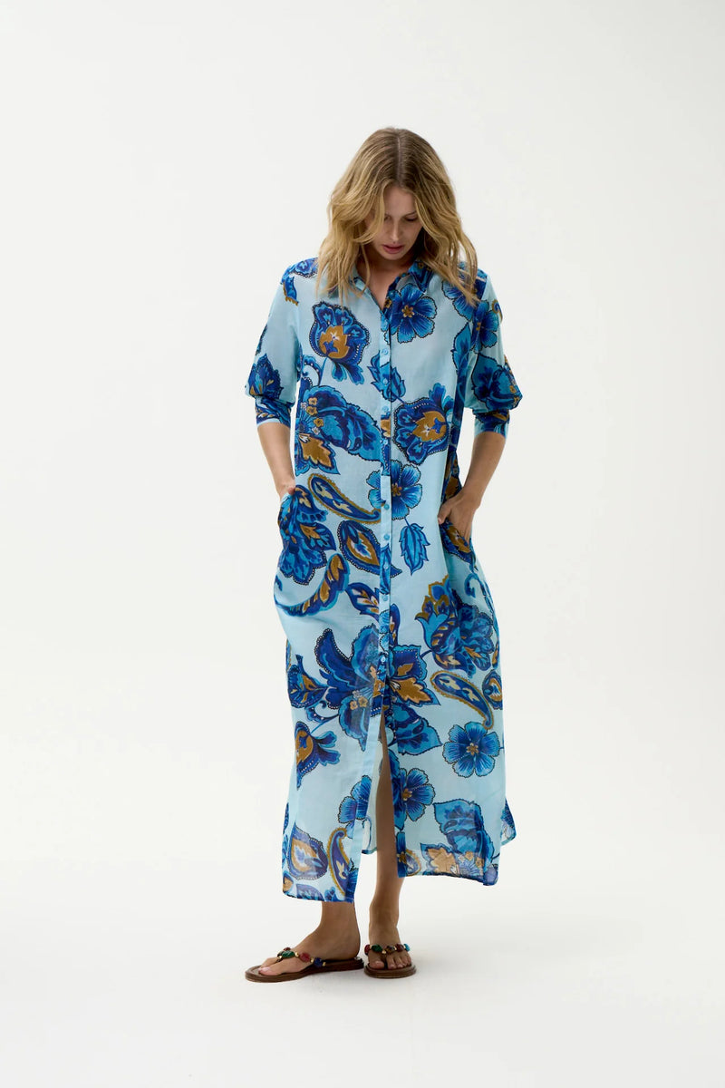 oneseason | Daisy | Lemnos | Blue Flower