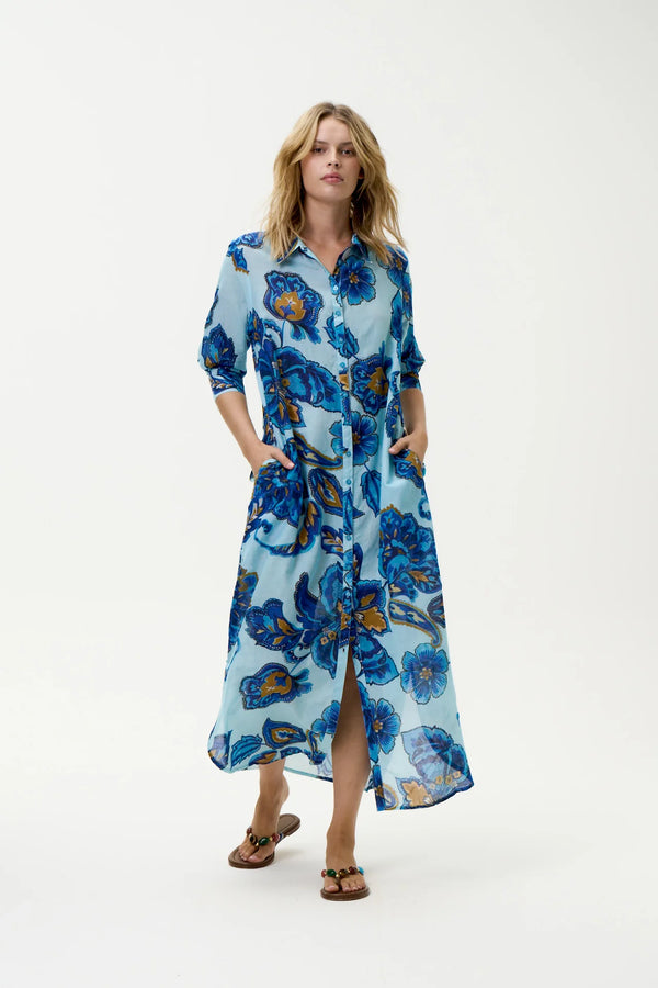 oneseason | Daisy | Lemnos | Blue Flower