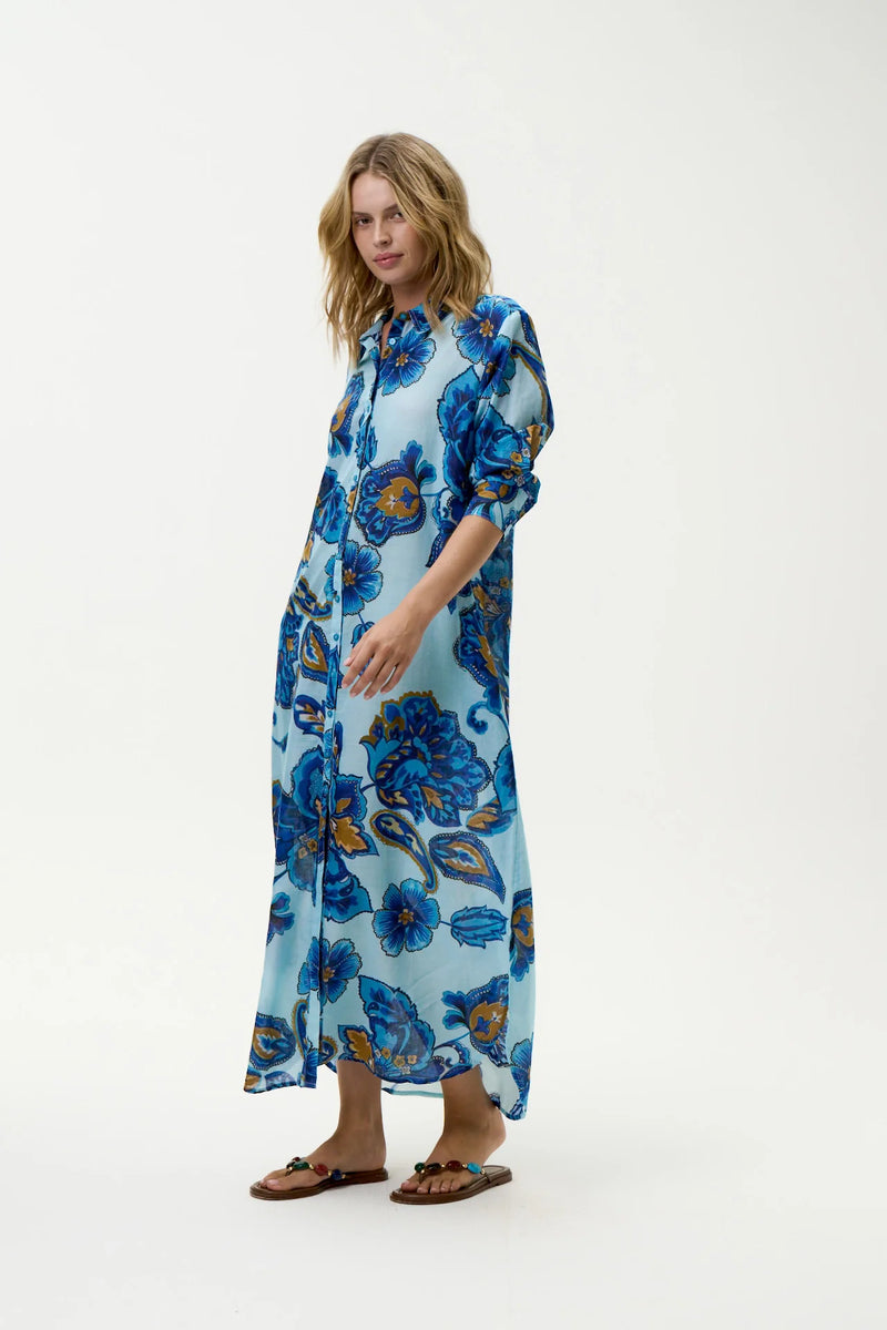 oneseason | Daisy | Lemnos | Blue Flower