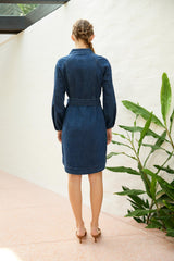 The Dreamer Label | Robin Denim Dress
