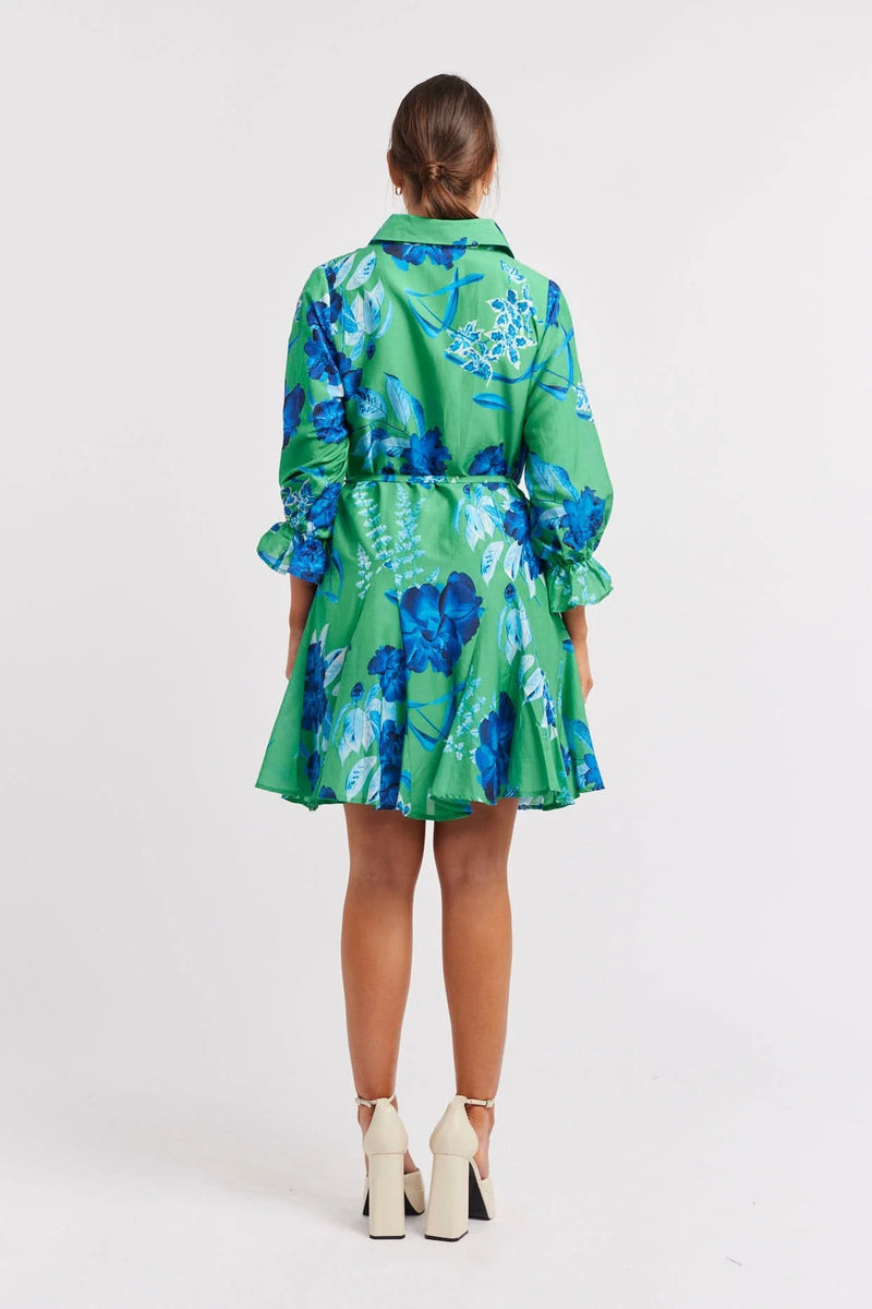Alessandra | Ravine Cotton Silk Dress | Emerald Night Garden